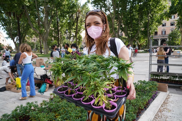 ROMA (ITALPRESS) - A una settimana precisa dal lancio, la raccolta firme per il Referendum Cannabis...
