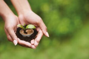 Caffè Borbone lancia una capsula amica della natura