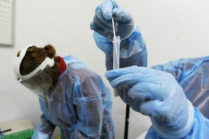 TAMPONI RAPIDI A PREZZI CALMIERATI ATTIVATI DALLA CROCE ROSSA, TAMPONE RAPIDO ROMA – Calano i nuovi...