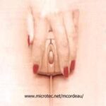 cattivogusto_mouse1
