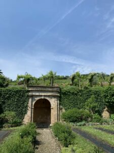 Il turismo enogastronomico coinvolge 13,4 milioni di italiani: Vinitaly