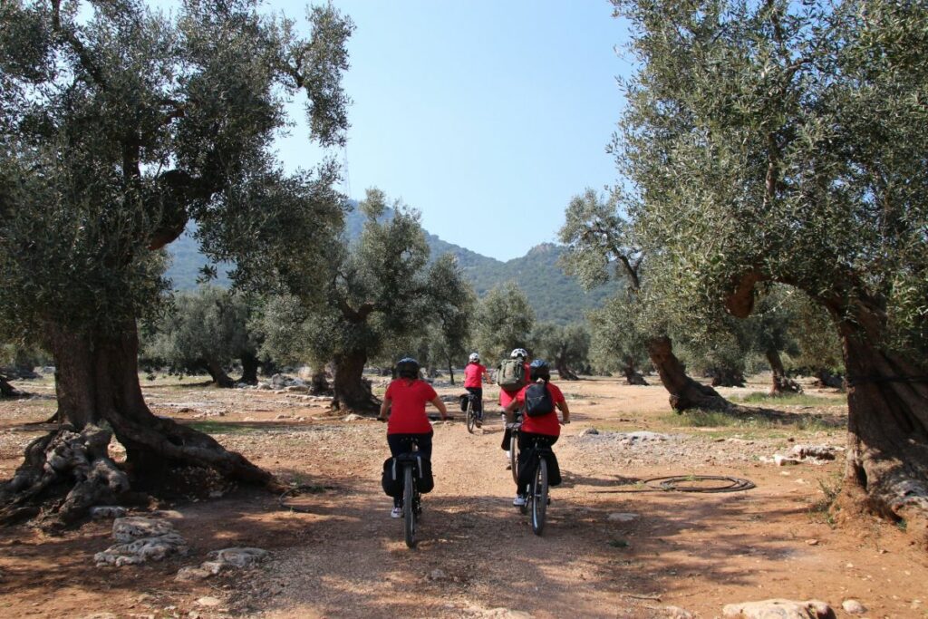 I protagonisti del turismo dell'olio Evo si sono riuniti in occasione dell'edizione 2024 del...