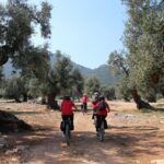 Il turismo dell’olio extravergine di oliva: il rapporto annuale e il nuovo sito ufficiale in italiano