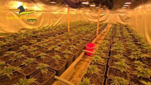 Arrestato a Firenze per la scoperta di una “fabbrica della droga”