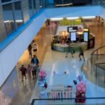 Sette morti in un centro commerciale a Sydney durante un attacco