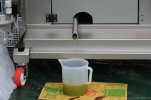 L’olio abruzzese conquista i buyer internazionali al Sol/Vinitaly