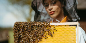Apiterapia: terapie con prodotti raccolti e segreti dalle api