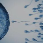Come avviene l’auto-inseminazione artificiale utilizzando i kit fai-da-te a casa