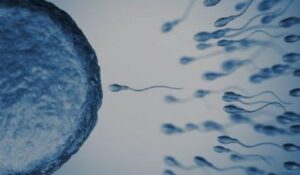 Come avviene l’auto-inseminazione artificiale utilizzando i kit fai-da-te a casa