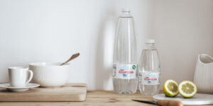 Qual è il significato dell’intestino come secondo cervello e quali sono le sue esigenze?