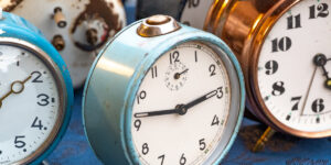 Scopri il tuo cronotipo: sei un orso, lupo, leone o delfino?