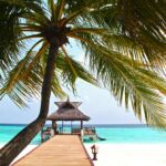 Riscaldamento globale: come preservare le Maldive