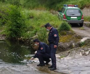 Nel mese di aprile, nell'ambito della Campagna "Fiume sicuro", i Carabinieri dei Reparti Forestali...