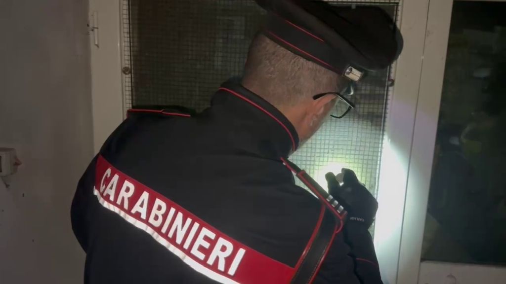 Questa mattina, all'alba, i Carabinieri della Compagnia di Velletri, supportati dai comandi...