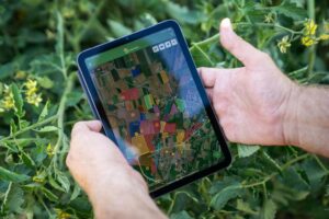 Hubfarm è la piattaforma digitale realizzata da xFarm Technologies in collaborazione con...