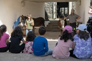 Il progetto “Delfini Guardiani” porta i ragazzi a scuola di natura a Pantelleria.