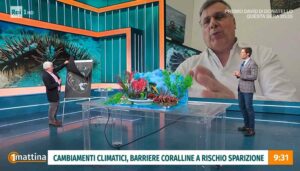 Prof. Galli rivela il mistero delle stelle marine killer che stanno decimando i coralli: sono immortali