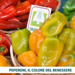 Scegliere i migliori peperoni e conservarli: più digeribili crudi e ricchi di vitamine