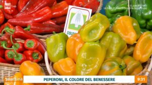 Si parlava stamane a Uno Mattina dei peperoni, con ospite il dirigente della Coldiretti Giardina. Ha...