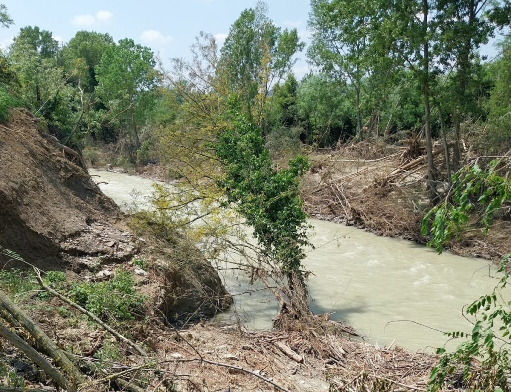 Inizia a Bologna un importante intervento lungo il fiume Savio, precisamente nella frazione di...