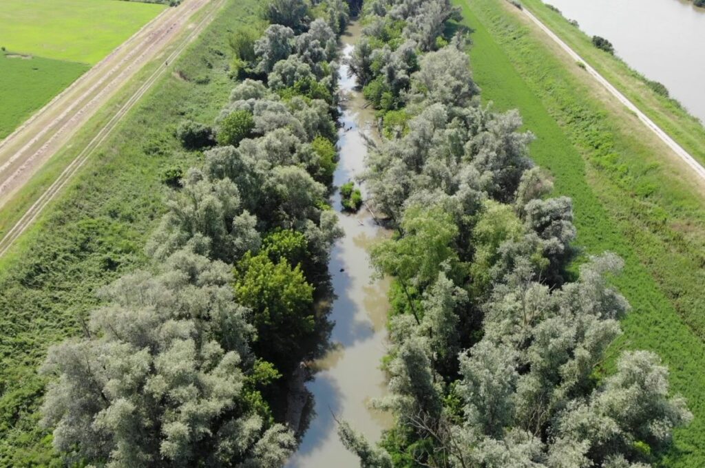 La Regione Emilia-Romagna ha avviato nuovi interventi di manutenzione lungo l'asta del fiume Reno in...