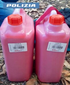 Gli attivisti dell’Ultima Generazione fermano Roma con 20 litri di vernice rosa