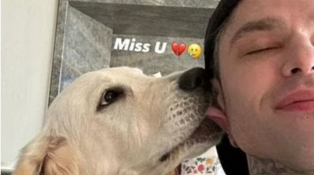 fedez-e-paloma-cane.jpeg