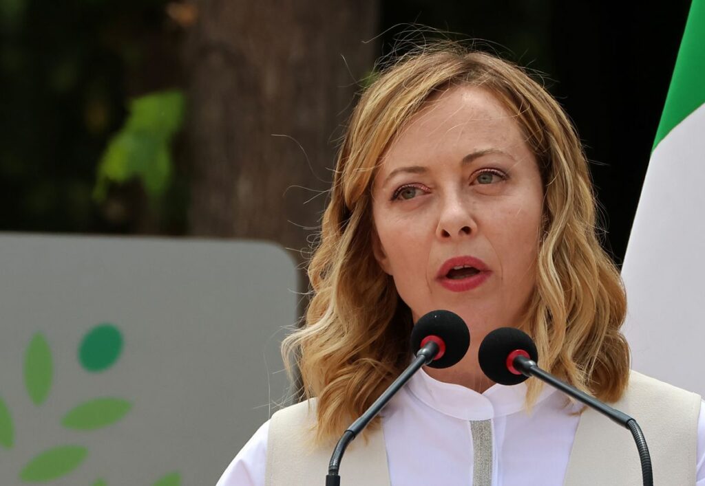 meloni1.jpg