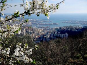 Cinque progetti liguri premiati nel concorso “Territori in luce” per il turismo