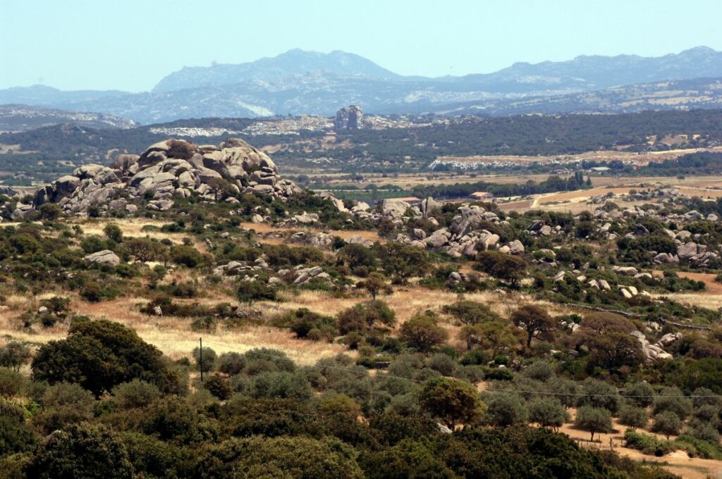 Provvedimenti della giunta della Sardegna riguardanti ambiente e lavoro
