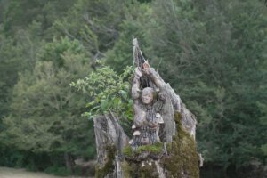 Il 27 luglio è stata inaugurata la settima edizione di ARTEPARCO, un'iniziativa che celebra il...