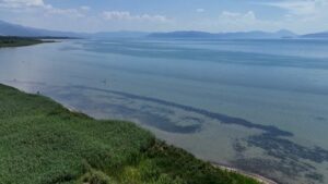 Crisi nel lago di Prespa: le ong chiedono intervento alle istituzioni per salvare l’ecosistema