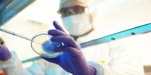 Primi due casi di virus Oropouche rilevati in Lombardia: definizione, sintomi e pericoli