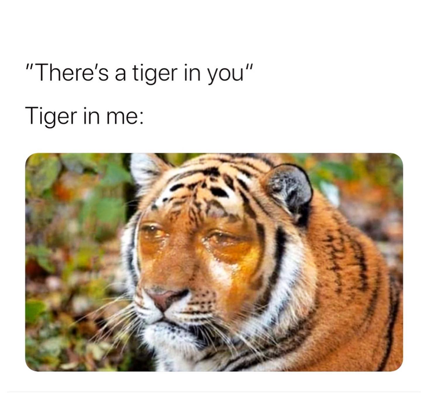 Rose Villan CHICO IS TRIPLE PLATINUM...