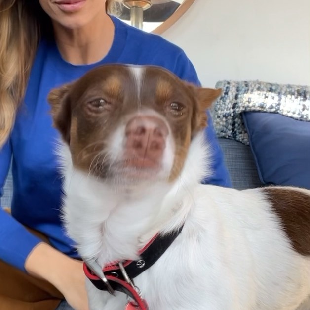 Elisabetta Canalis La mia ombra Nello
My shadow...