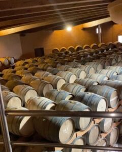 Ciao cari lettori, oggi vi parleremo di un personaggio che ha fatto parlare di sé non solo per le...