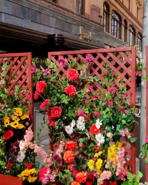 Flavio Briatore Oggi finalmente si apre nella splendida location a Knightsbridge di fronte ad ...