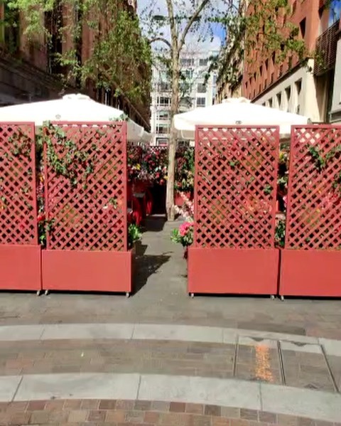 Flavio Briatore Oggi finalmente si apre nella splendida location a Knightsbridge di fronte ad ...