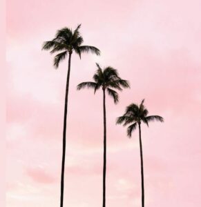 Se c'è una cosa che Elisabetta Gregoraci sa fare bene, è sicuramente far parlare di sé. Con il suo...