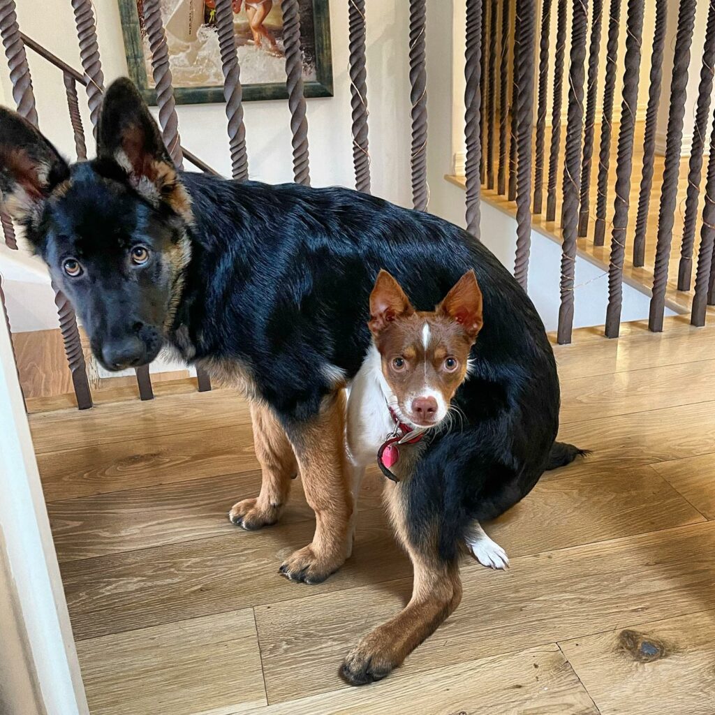 Elisabetta Canalis, che dire di lei se non che è praticamente la regina dell'autoscatto e...