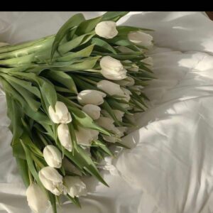 Elisabetta Gregoraci, … su Instagram stupisce i suoi fan