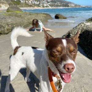 Ciao cari lettori, oggi parleremo di una donna che ha conquistato il cuore di molti con il suo...