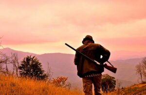 La Giunta regionale presieduta da Roberto Occhiuto ha approvato il calendario venatorio per la...