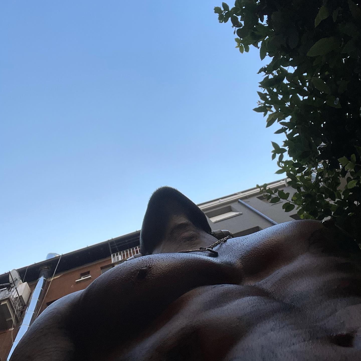 Fabrizio Corona IL CIELO SOPRA LE MURA....