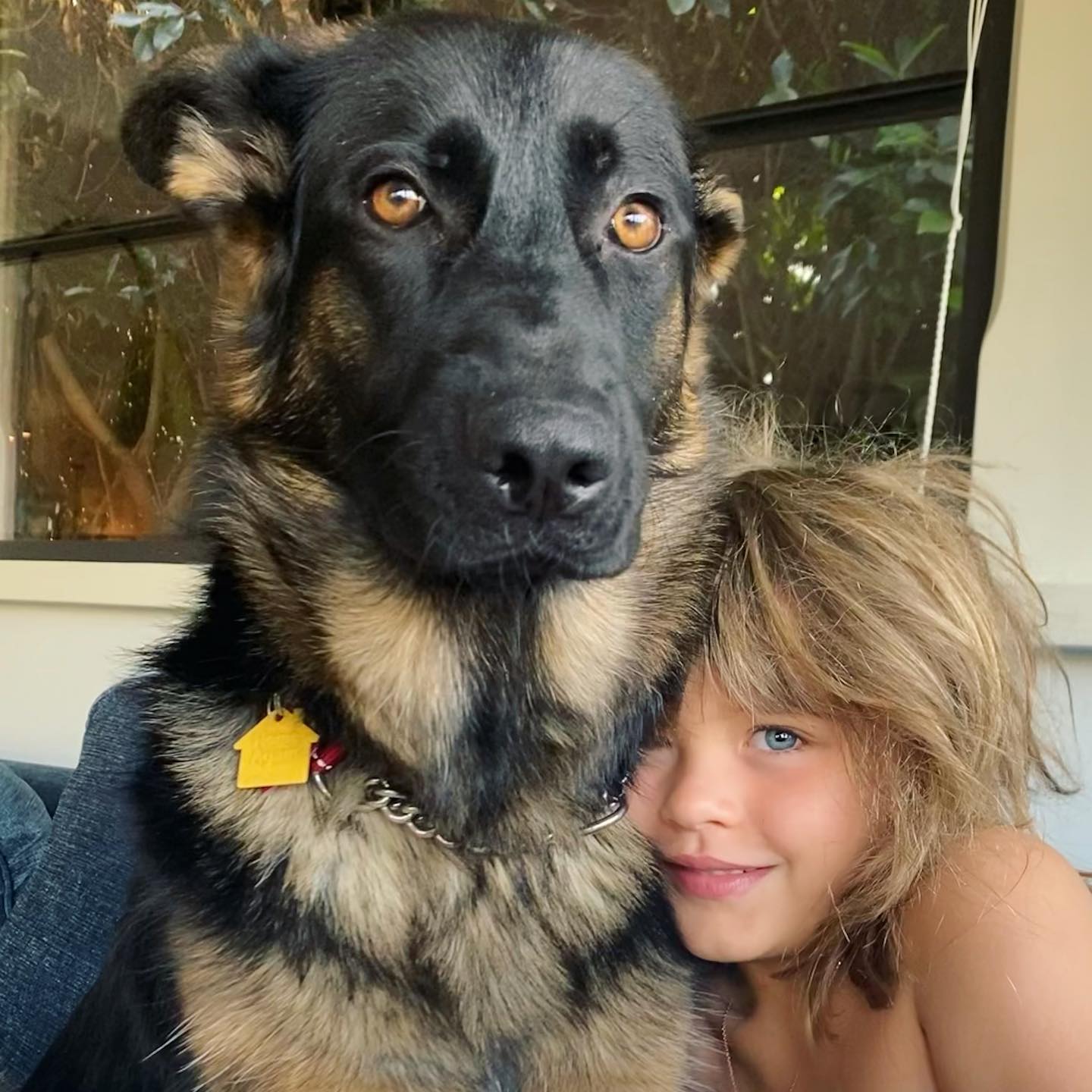 Elisabetta Canalis Giornata mondiale del cane.
Un pensiero a quelli meno fortunati che ancora si t...