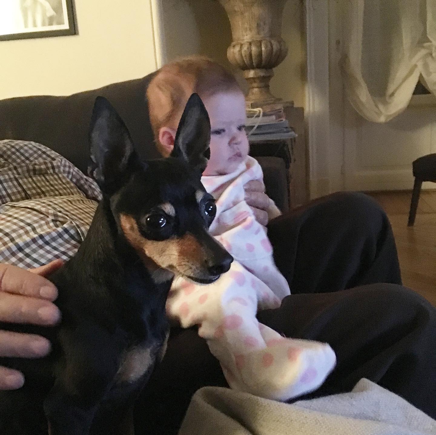 Elisabetta Canalis Giornata mondiale del cane.
Un pensiero a quelli meno fortunati che ancora si t...