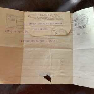 Selvaggia Lucarelli: la regina indiscussa della ironia e della provocazione, la sacerdotessa...