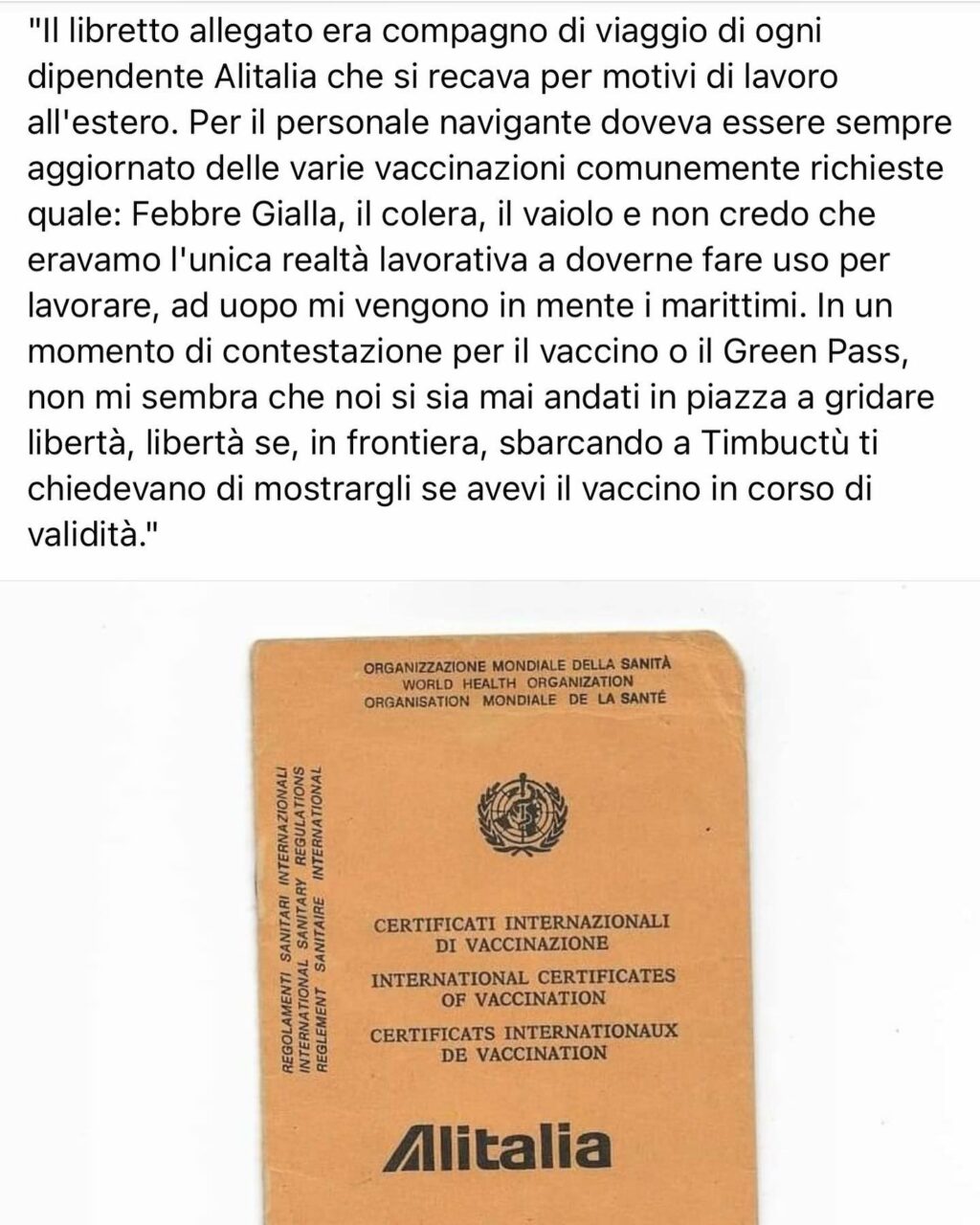 Selvaggia Lucarelli, Il green pass anni ‘80. (dalla pagina fb Alitalia storia di un paese)… su Instagram delizia i suoi fan