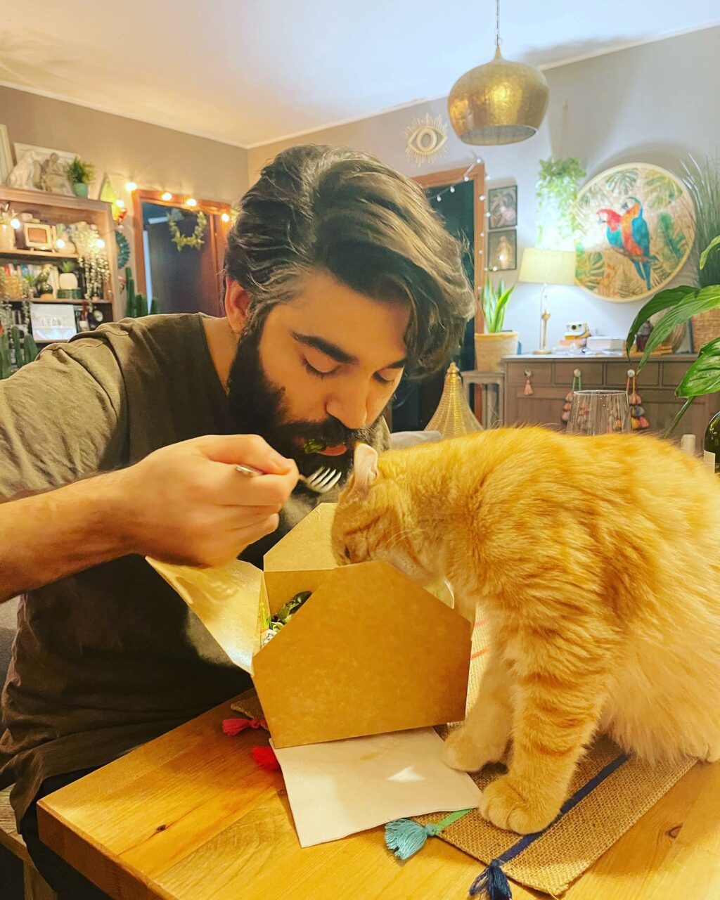 Selvaggia Lucarelli, “Ho detto che sono allergico ai gatti, non è che non ne voglio, non posso prende… su Instagram delizia i suoi fan