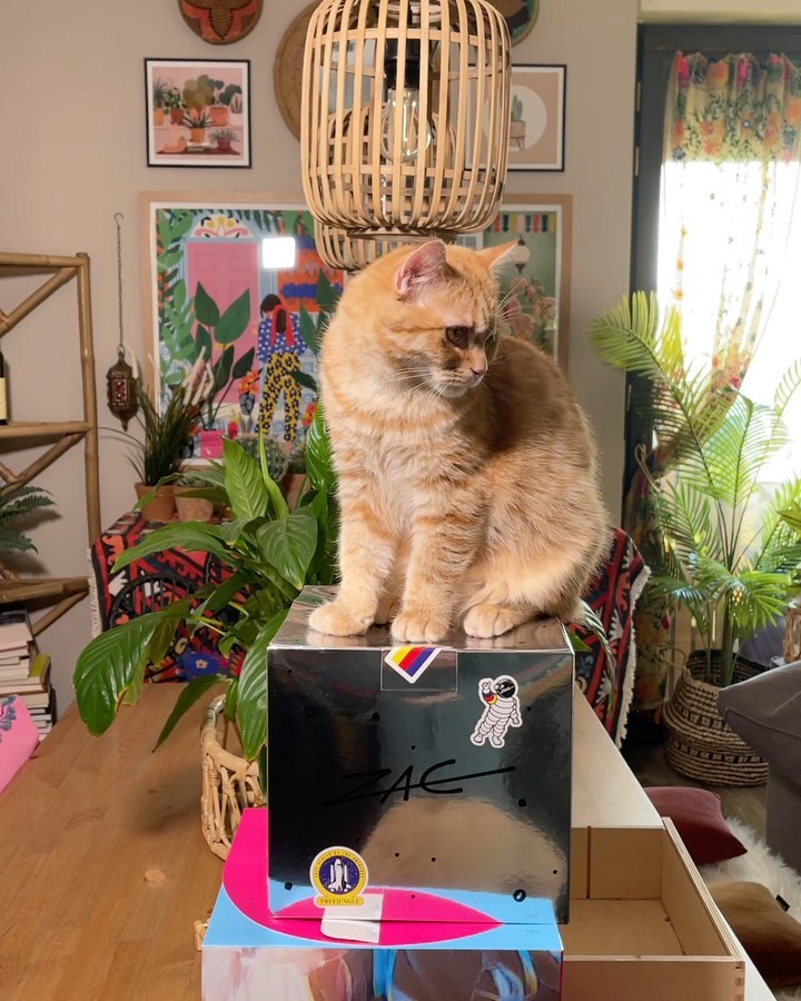 Selvaggia Lucarelli Maledetto roscio....